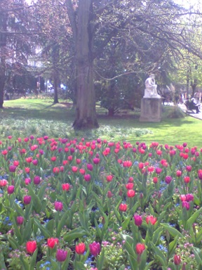 Vue du Jardin du Luxembourg, avril 2013