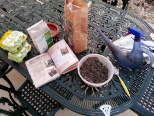 Dans le saladier, mélangez terreau, (compost), argile et graines